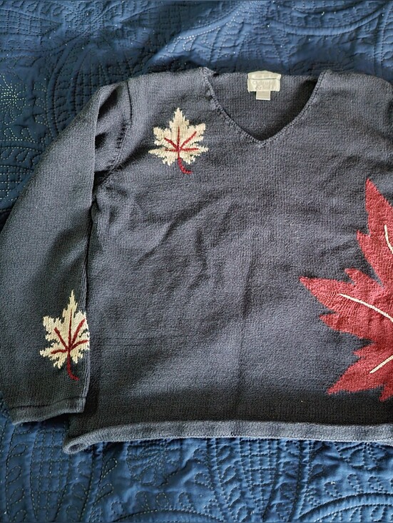 Christopher & Banks Sweaters - Christopher & Banks Navy V‑Neck Sweater with Red and Cream Leaf Motifs